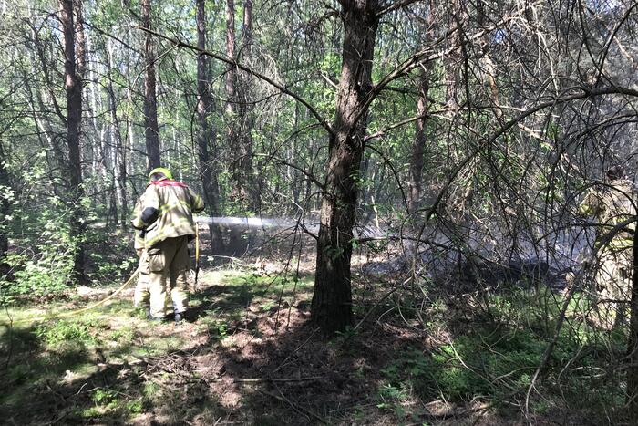 Brand in natuurgebied snel geblust