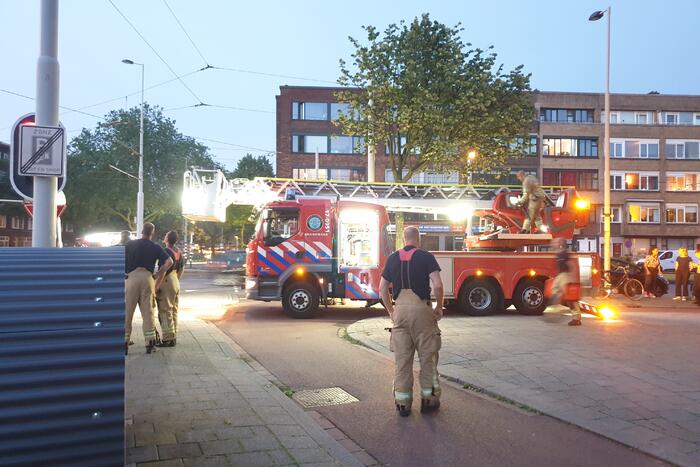 Twee duiven zitten vast in gaas