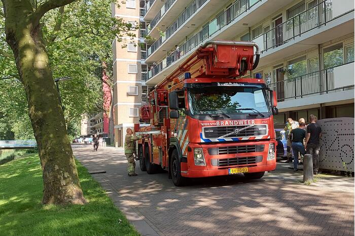 Vogel twee dagen vast in boom