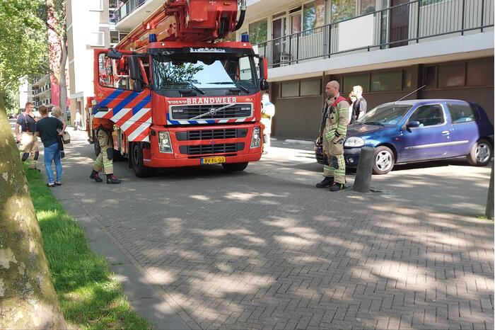 Vogel twee dagen vast in boom