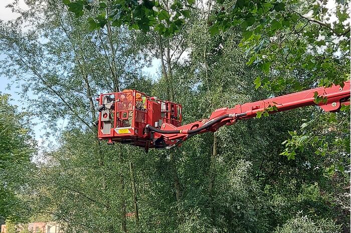 Vogel twee dagen vast in boom