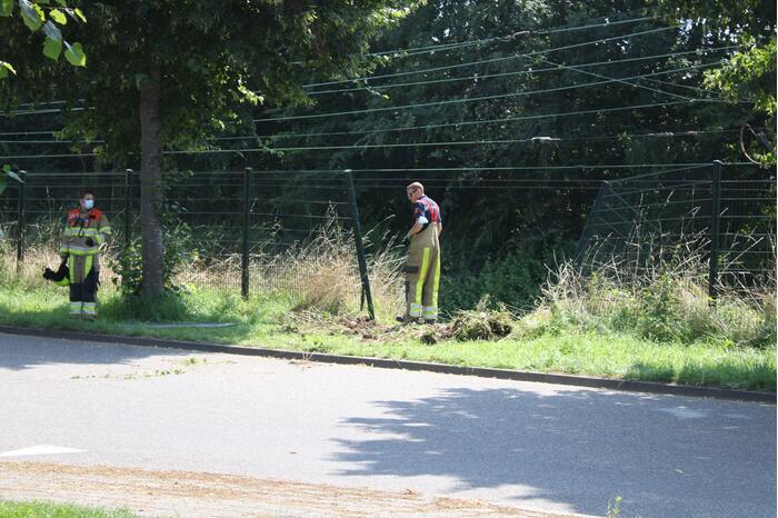 Bestelbus komt tot stilstand gekomen op het spoor