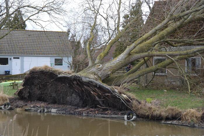 Grote boom omgewaaid op woning