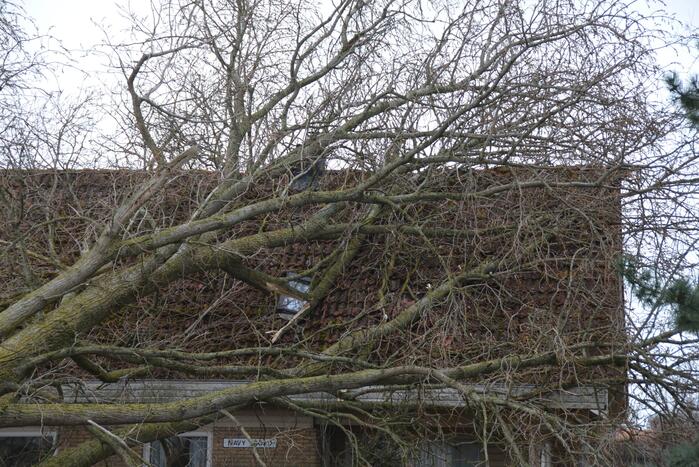 Grote boom omgewaaid op woning