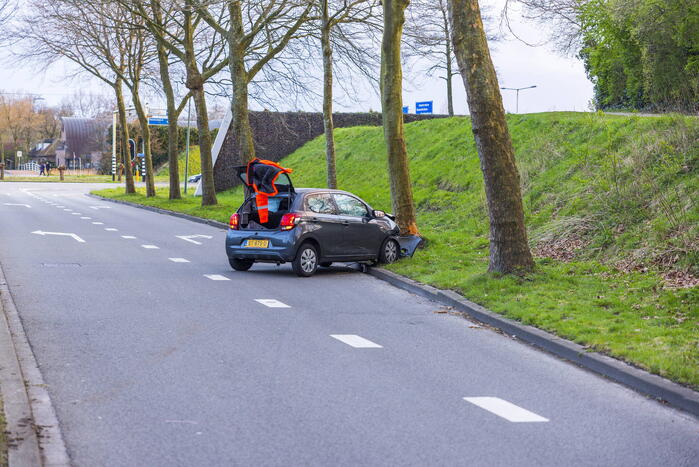 Automobilist botst tegen boom