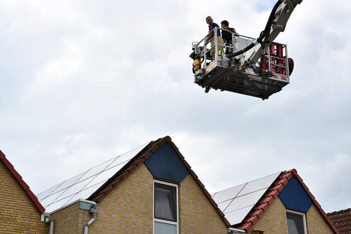 Vastzittende zwaluw door brandweer gered