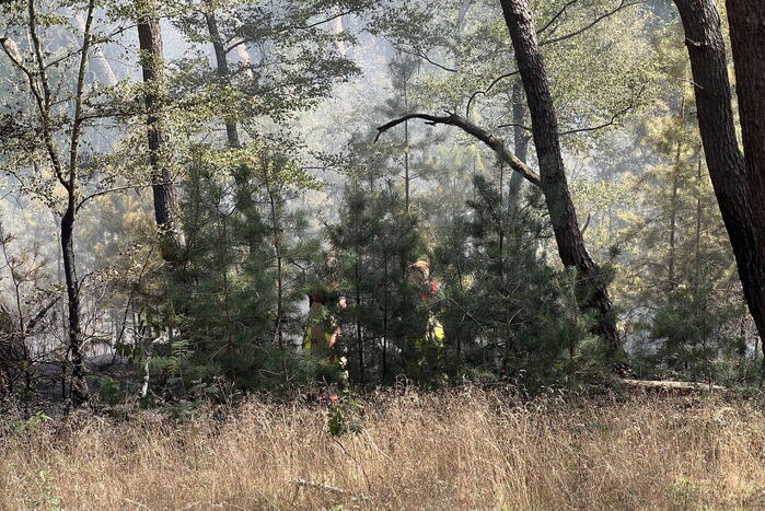 Flinke natuurbranden op de Brunssummerheide