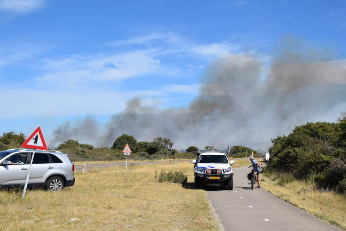 Brandweer massaal ingezet bij grote duinbrand