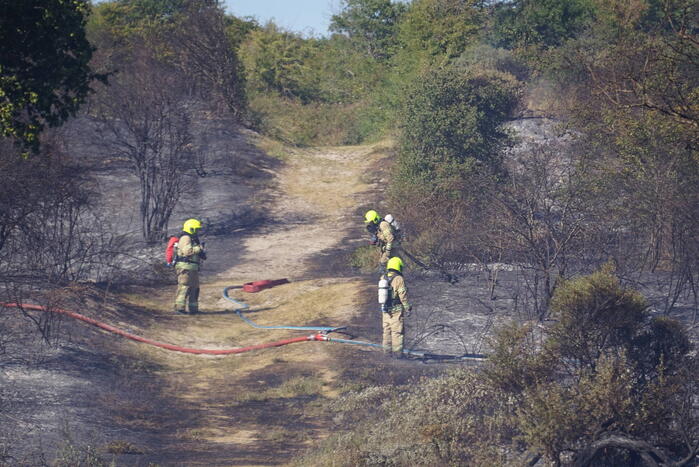 Brandweer massaal ingezet bij grote duinbrand