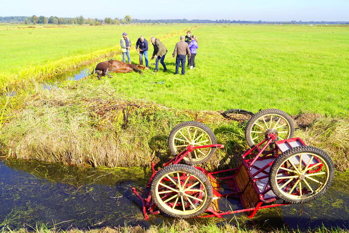 Paard met menwagen belanden in sloot