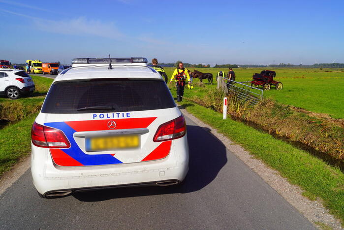 Paard met menwagen belanden in sloot