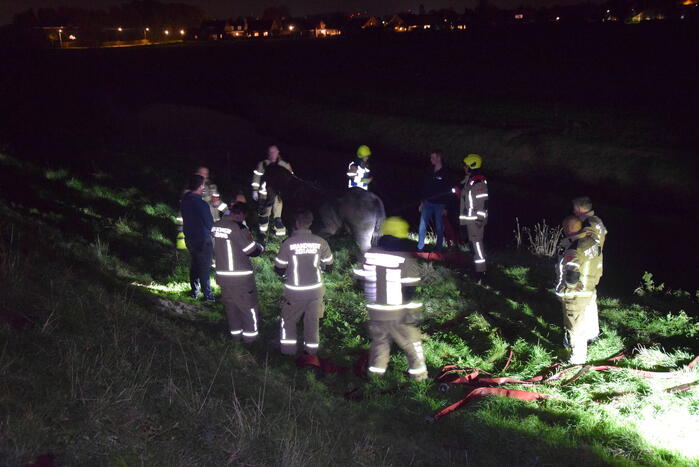 Brandweer redt paard uit een sloot