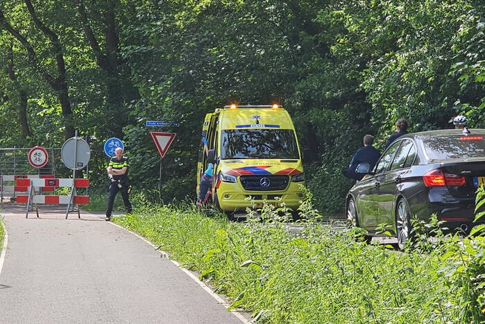 Wielrenner ten val door hond, hond aangereden door auto