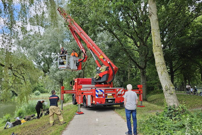 Brandweer ingezet voor afgebroken tak