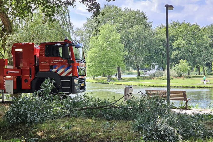 Brandweer ingezet voor afgebroken tak