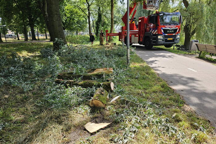 Brandweer ingezet voor afgebroken tak