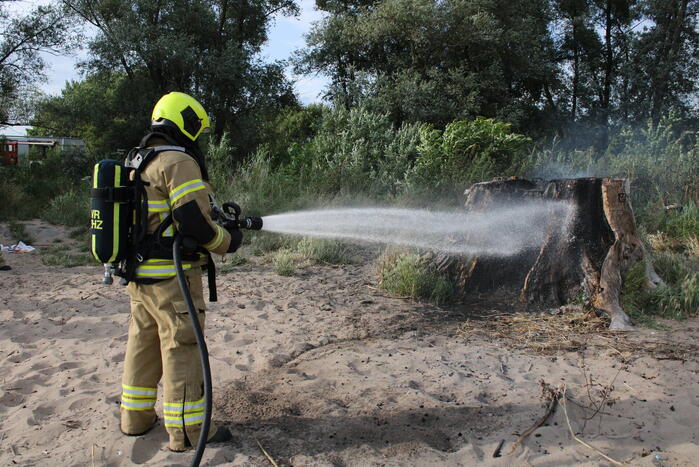 Smeulbrand in grote stronk van boom