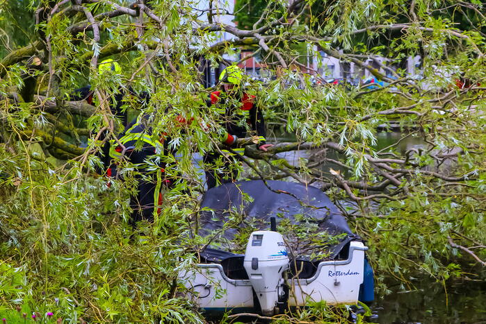 Grote boom valt om en komt terecht op boot