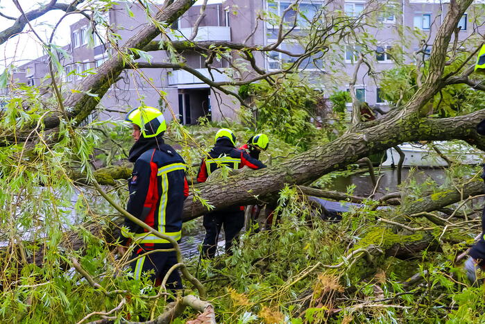 Grote boom valt om en komt terecht op boot