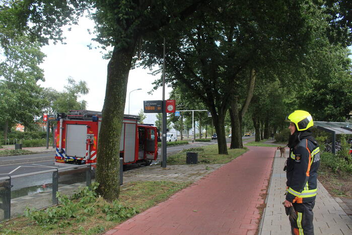 Afgebroken takken dreigen op bushalte te vallen