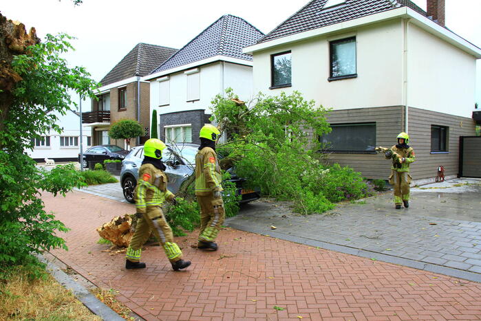 Boom valt bovenop geparkeerde auto