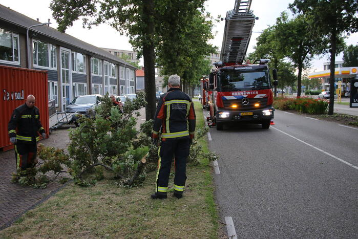 Brandweer verwijdert meerdere loshangende takken