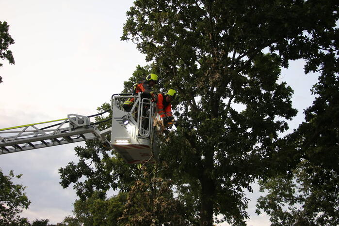 Brandweer verwijdert meerdere loshangende takken