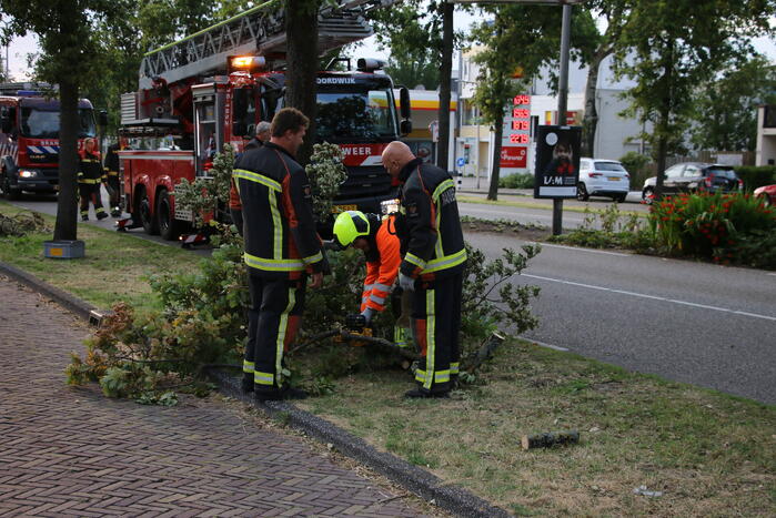 Brandweer verwijdert meerdere loshangende takken