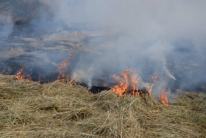 Flinke rookontwikkeling bij buitenbrand