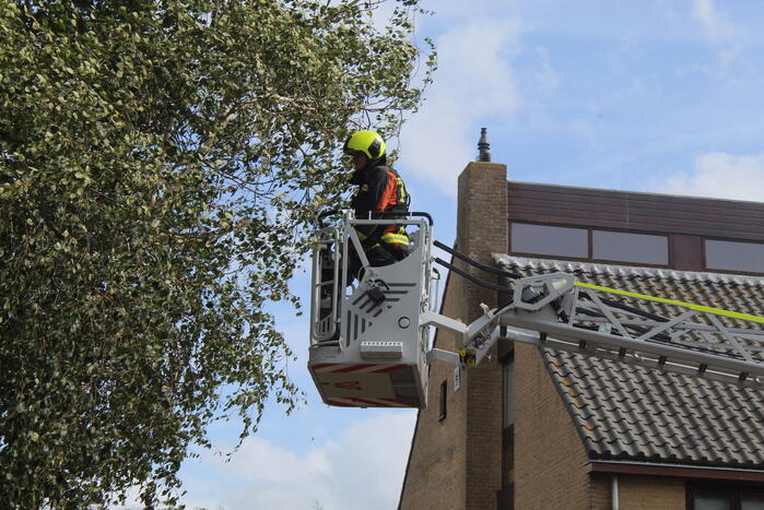 Brandweer ingezet voor stormschade