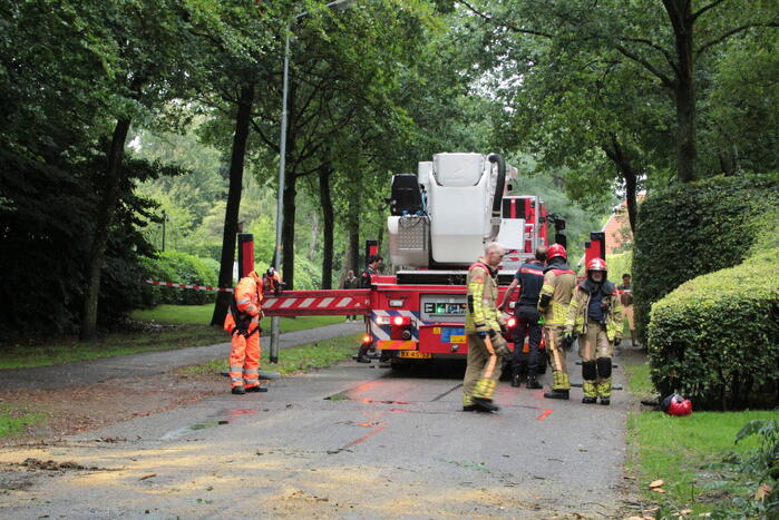 Loshangende tak zorgt voor gevaarlijke situatie