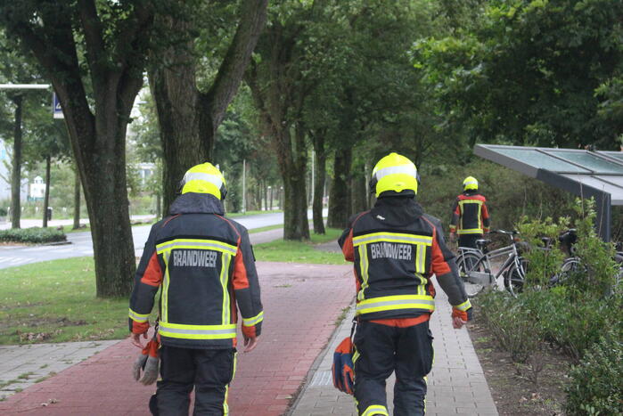 Takken van boom gezaagd na harde wind