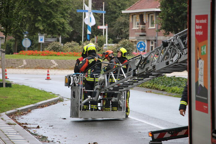 Takken van boom gezaagd na harde wind