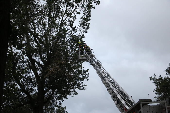 Takken van boom gezaagd na harde wind