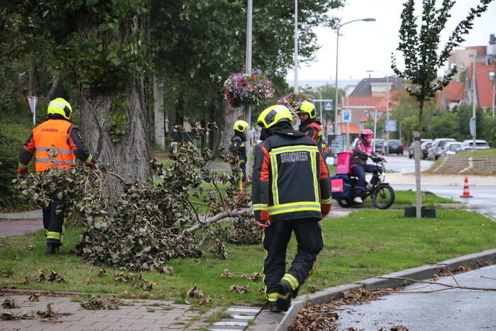 Takken van boom gezaagd na harde wind