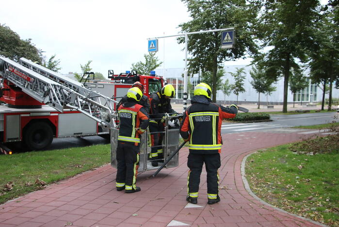 Takken van boom gezaagd na harde wind