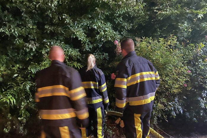 Vlammen bij brand in bosschage