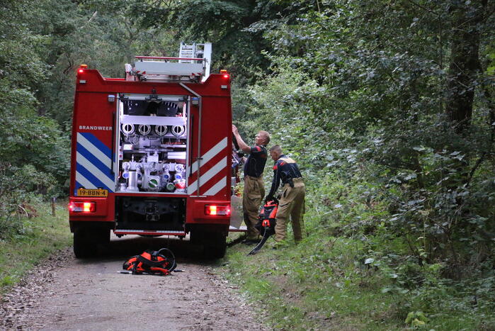 Stuk duin in vlammen opgegaan