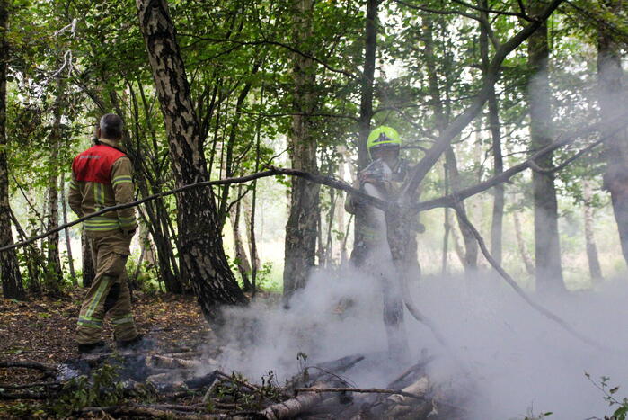 Brandweer blust kampvuur in bos