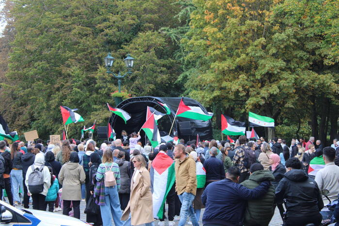 Pro Palestina demonstratie trekt veel mensen