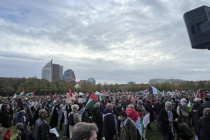 Grote opkomst pro-palestina demonstratie op het Malieveld