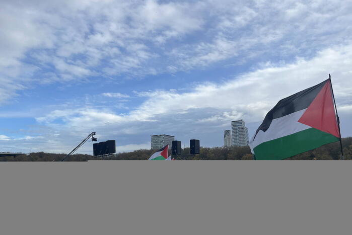 Grote opkomst pro-palestina demonstratie op het Malieveld