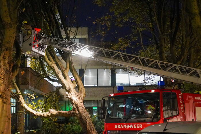 Grote boom waait tegen gebouw