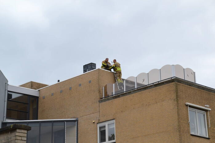 Brandweer haalt gewonde zwaan van dak