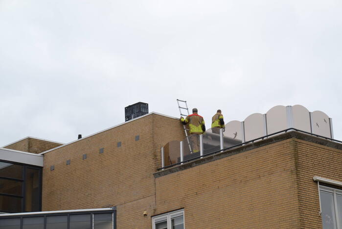 Brandweer haalt gewonde zwaan van dak