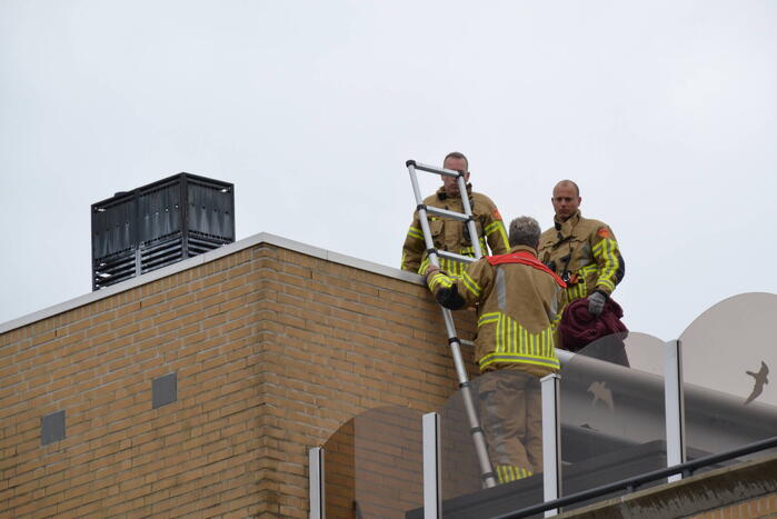 Brandweer haalt gewonde zwaan van dak