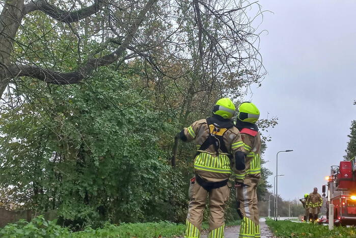 Brandweer verwijdert gevaarlijk hangende tak