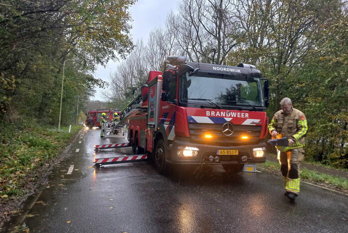 Brandweer verwijdert gevaarlijk hangende tak