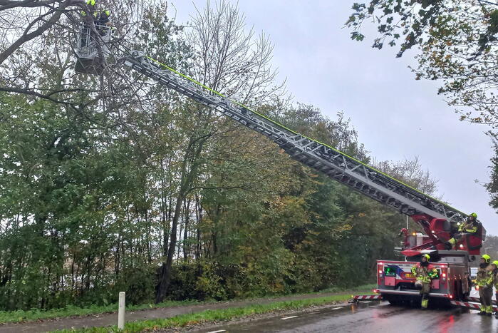 Brandweer verwijdert gevaarlijk hangende tak