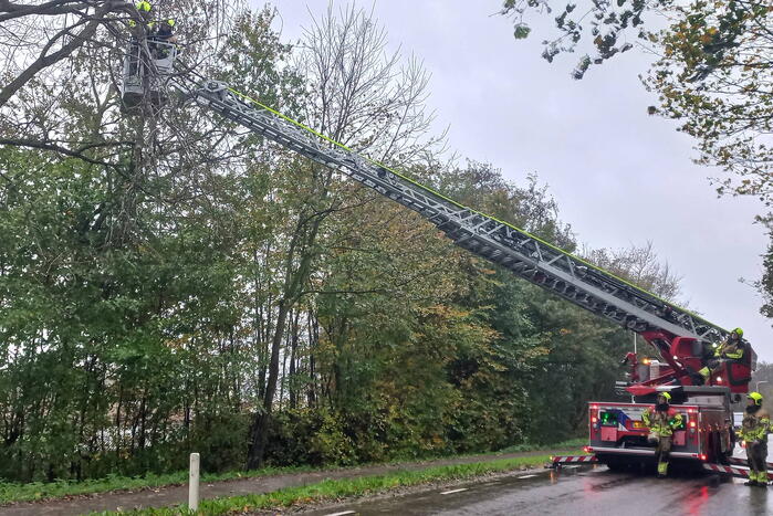 Brandweer verwijdert gevaarlijk hangende tak